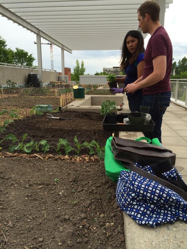 Gardens happening. We're all planted up.