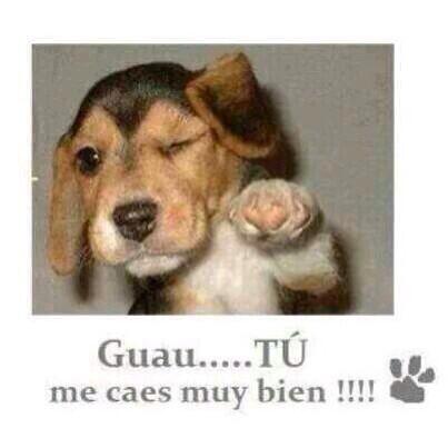 Rich_Arq's tweet photo. #PasaLaVoz #SabíasQué Viernes 13 de junio de 14:00 a 18:00hrs #Hashtag #ManceraQueremosCircosSinAnimales #CDMX http://t.co/QfajFTV9H1
