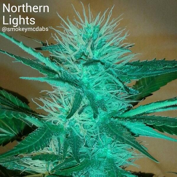 SocialHub tweet media