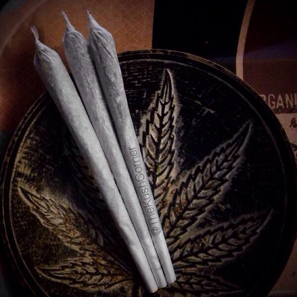 TheKushCorner's tweet image. i can spit out perfect joints like these all day.. gotta stay blazed #RollBot #rolldatshit #rolllightenjoy #joint