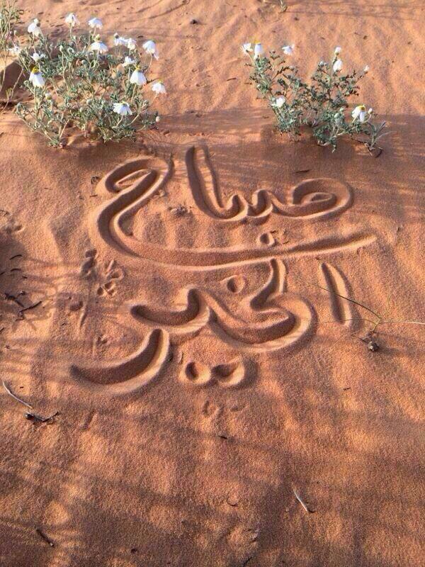 aashegalnada tweet picture
