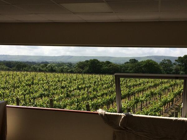 RidgeviewWineUK's tweet image. What a perfect day for our tasting room refurb to start! #goodbyewindows #sunshine #vineyard