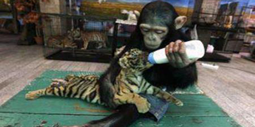 Trop_Cute tweet picture