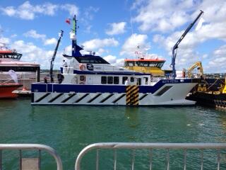 Saltwater tweet media