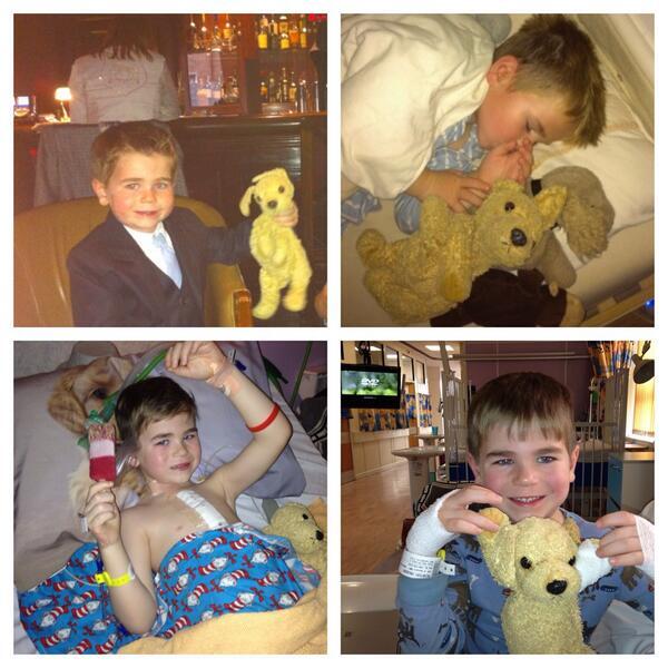 AlderHey's tweet photo. Morning everyone - we've had a phenomenal response to try and #bringrufushome but still no luck - pls keep sharing! http://t.co/zCNya3jA5K