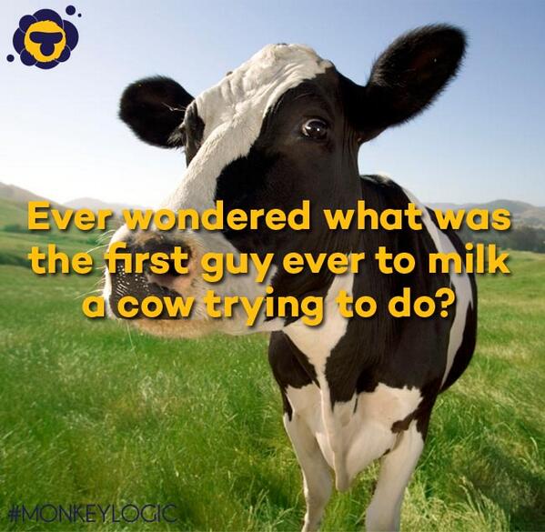 wemarketmonkey's tweet image. It must&apos;ve been pretty weird actually. But, well, he struck gold! 
#MonkeyLogic