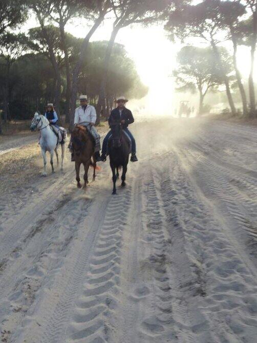 JosevalleV's tweet photo. a oras de yegar al rocio buen camino en la raya si señor http://t.co/8stdFCro6P