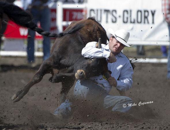 prorodeocanada's tweet photo. New Mount Pays Off For Miller.  

Read about "Grumpy" in this week's news release: http://t.co/gOruJMdAb6 #CFR41 http://t.co/ncPnChWkdv