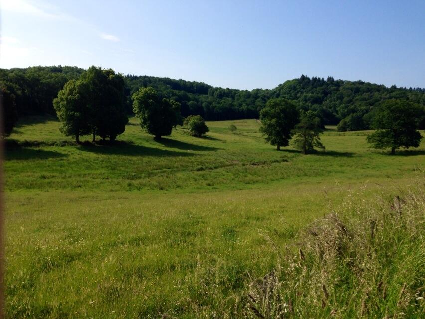 Permalien de l'image intégrée