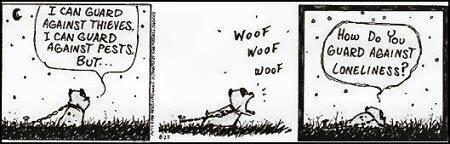 Auntienena13's tweet image. A dog should be part of your family, not a lawn ornament on a chain. #nomorechains