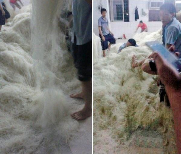 View image on Twitter