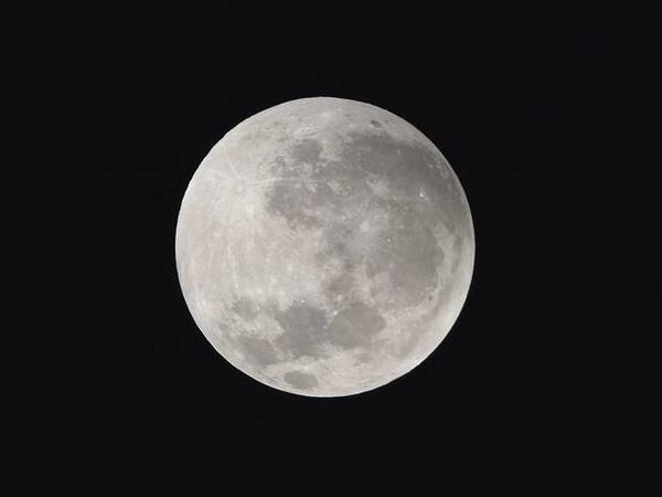 Independent's tweet photo. Man arrested for trying to shoot the moon - the moon was not harmed
http://t.co/e2GzVPh3PU http://t.co/vzDA6j4P0X