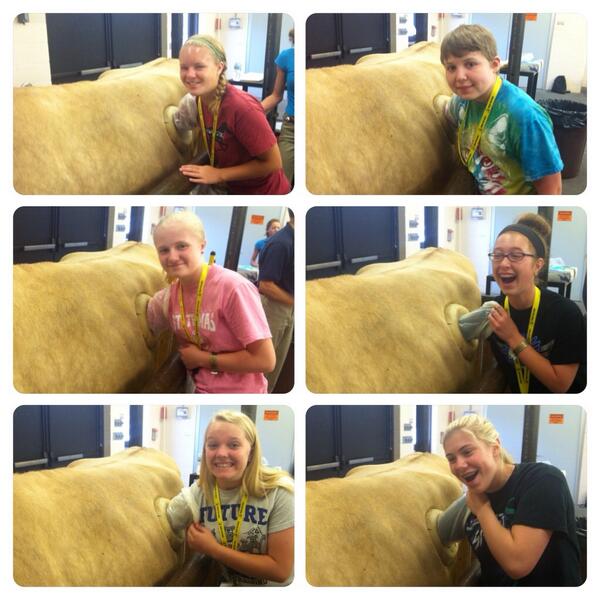 BoilerVetCamp's tweet photo. Team Pig feeling the rumen of buttercup. Cows are awesome!
#TeamPig #bvc2014 #lifeatpurdue http://t.co/7XHgjR4dU3