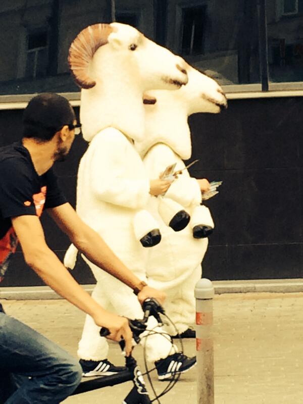 Они в городе!!!