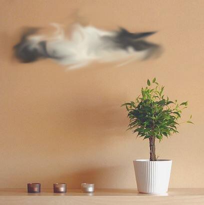 Prijsflits's tweet image. Benieuwd welke prijs je deze week op Prijsflits kunt winnen? Kijk hier: prijsflits.nl/nieuws/Prijsfl… #gratis #prijs #winnen