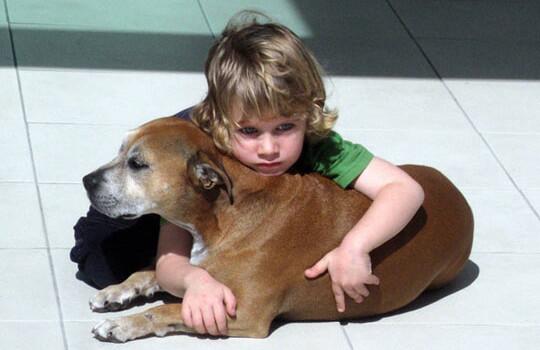 A 6-Year-Old Said the Most Beautiful Thing About His Dying Dog. Get Ready, Here Come the Wate… sensationali.st/a-6-year-old-s…