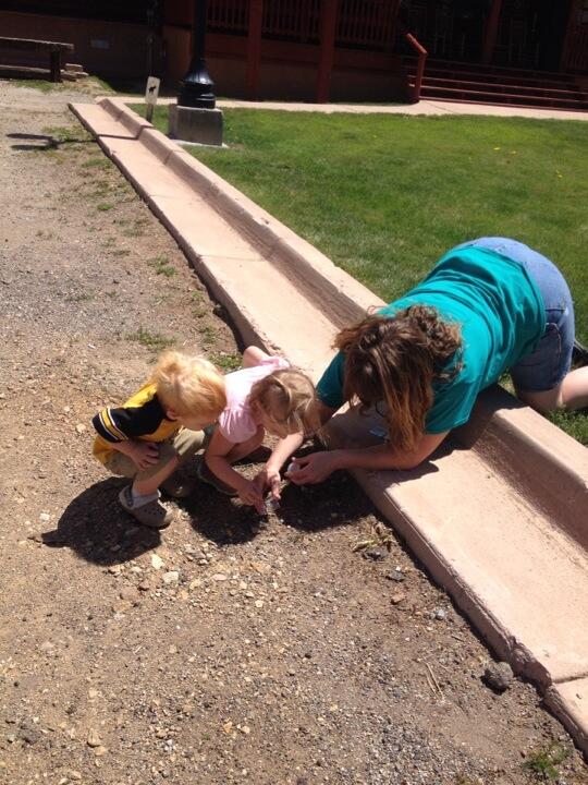 dianefaber's tweet photo. Enjoying bug class at the community center@Red_River_NM http://t.co/k9RDUCn0IC