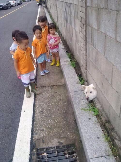 XavierOliverDav's tweet photo. "@Es_Lujo: -Tss tsss. ¿Chicos quereis droga?
+ http://t.co/qYxZzj6FRk" @Miikiperez6