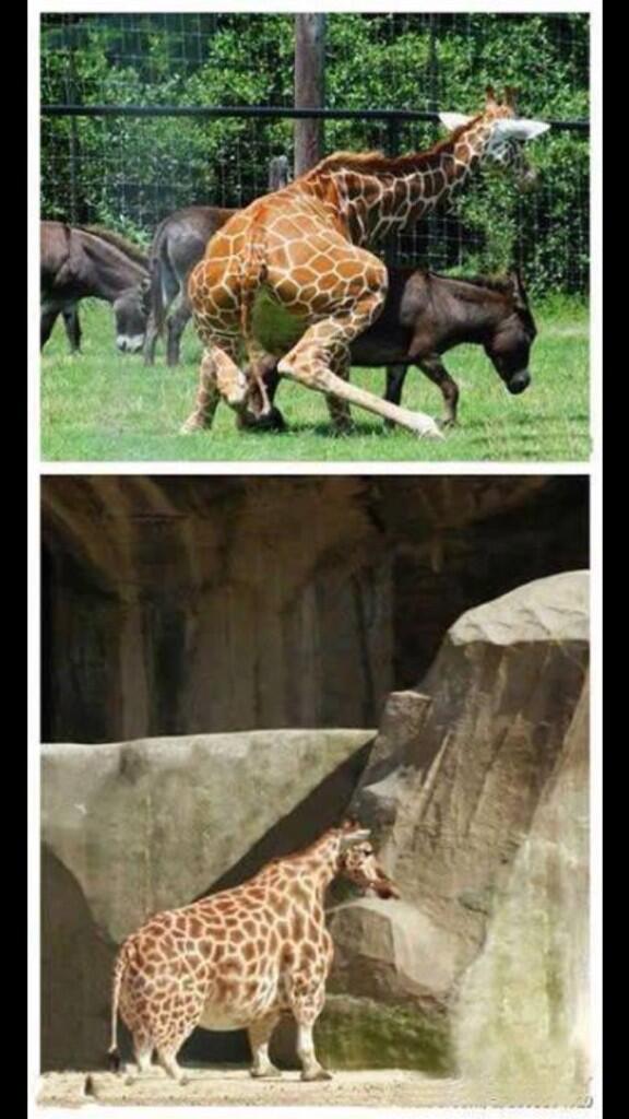 Oskar Fagerstöm tweet media