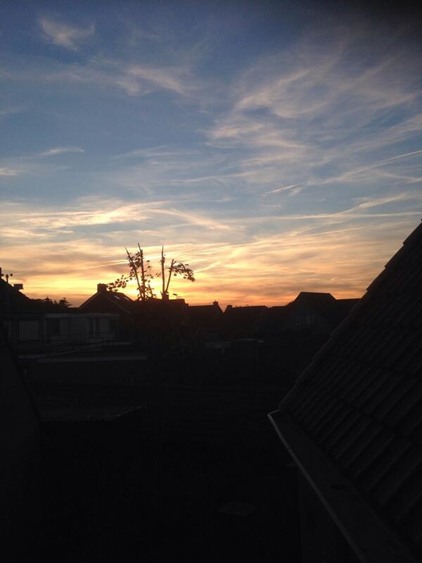 #GOLDSKIES  <a href="/DVBBS/">DVBBS</a> 🌅