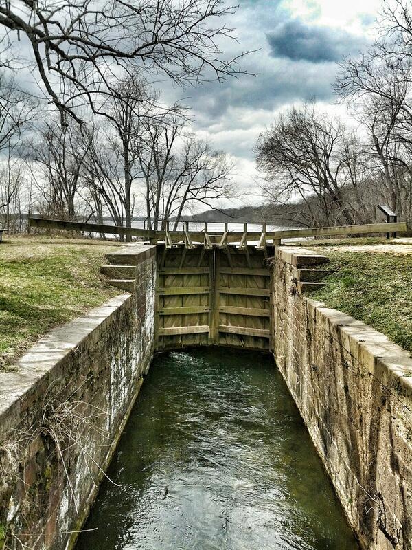 Violette's Lock (автор фото ryanshapiro) #c&o canal,trees,water,wood,violettes lock