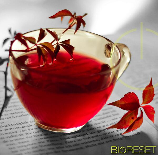 Bioreset's tweet photo. Comienza tu día con un té rojo, te ayuda a reducir los niveles de colesterol y acelera tu metabolismo. #BioresetDiet http://t.co/f3QJTnjy8I