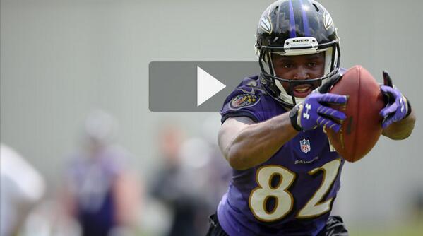 ravens backup qb in 2008 ravens backup qb in 2008