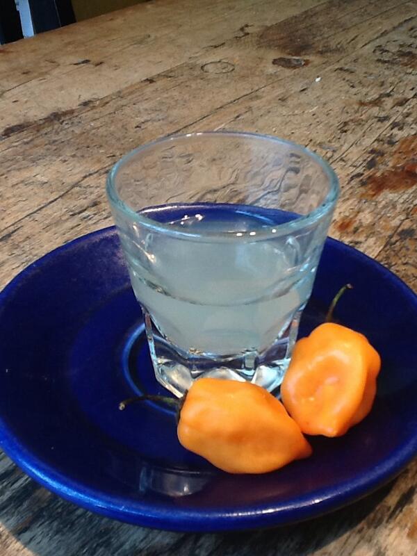 Feeling spicy? Come in and try our amazing habanero lemonade!
