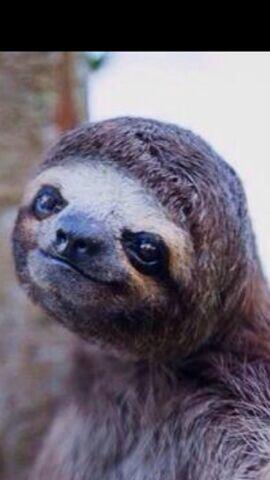 jacobewinter's tweet photo. when someone is telling a story that is obviously a lie http://t.co/BoMgH5qNPW