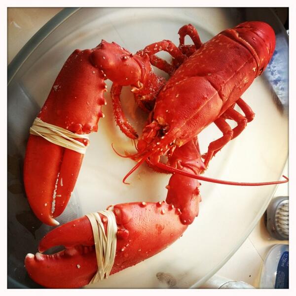 A table #wbzh #Hipstamatic #Jane #Blanko