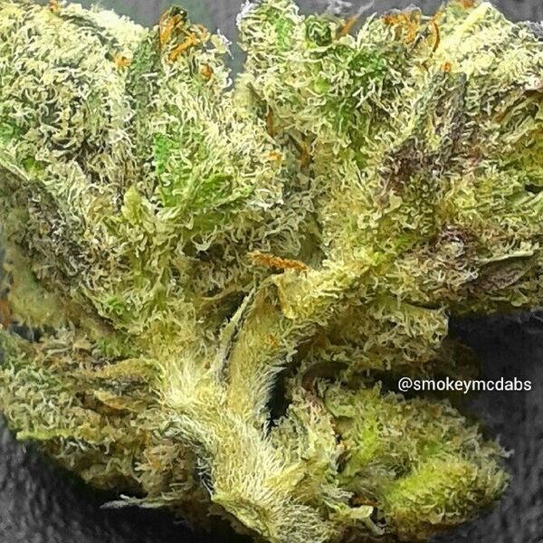 SocialHub tweet media