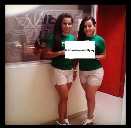 Las2socias's tweet photo. #chihuahuasinbullying La caliente y las socias apoyando a un Chihuahua sin Bullying http://t.co/i7mcUQ2oUF