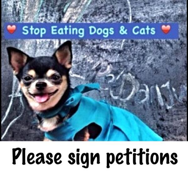 clauhoni's tweet image. You can stop the torture! HERE&apos;S THE Petition #Yulingetdogsoffthemenu https://t.co/QEXB1rmjuf&quot; ht pinterest.com/pin/8584993662…