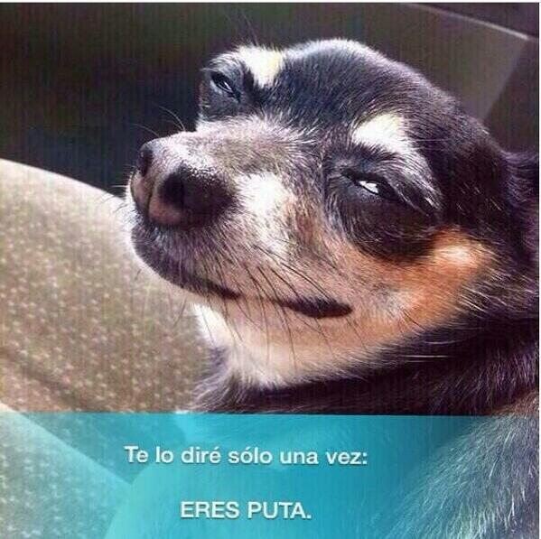yrayita100411's tweet photo. @LeooRuizLC  @EvaRuizBeza  JAJAJJAJAJAJAJ muy fan de esta imagen🔝🔝😂 http://t.co/cIAW3ks1ke