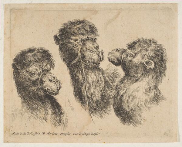 The Metropolitan Museum of Art tweet media