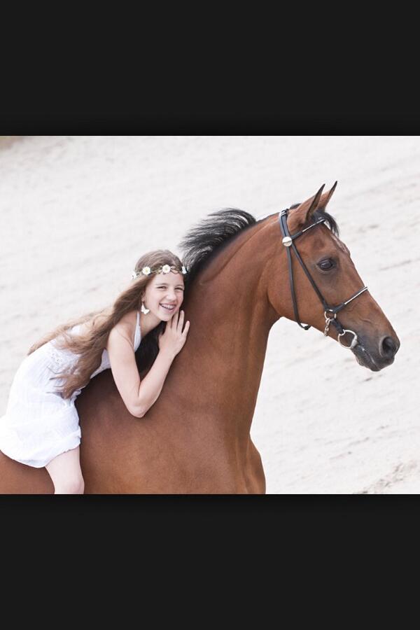 foreverhorses_'s tweet photo. Goodnight x http://t.co/WQT3FyE6WS