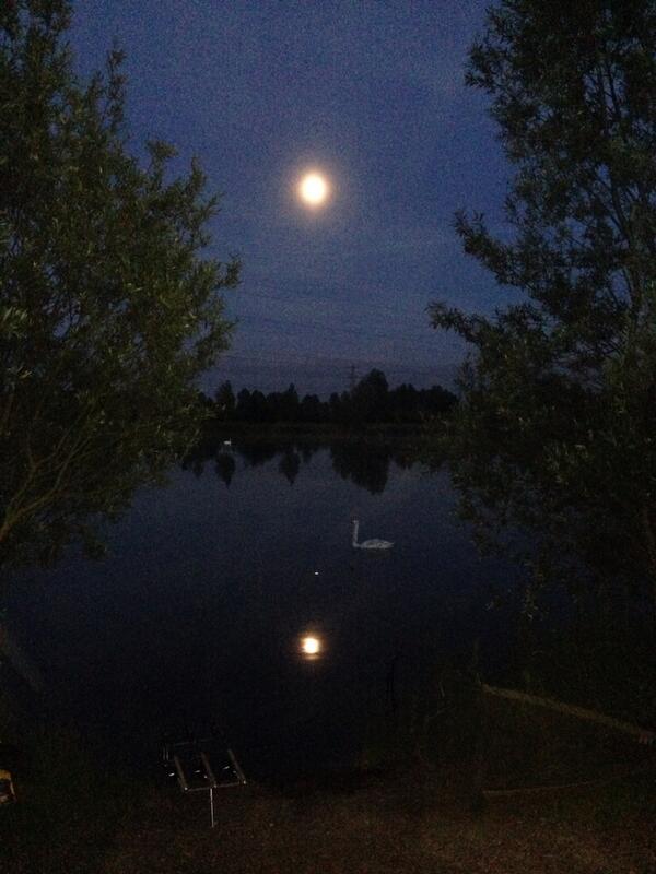 _rptog's tweet photo. Full moon almost.... Come on the big common!!!! http://t.co/NBl9ILIbnB