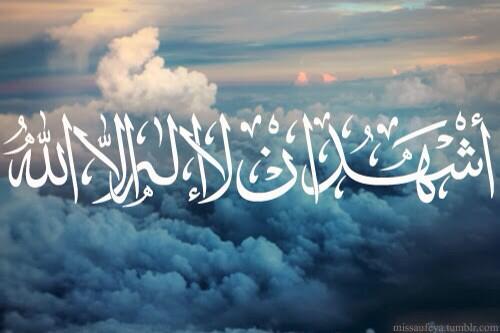 ReadRaed2 tweet picture