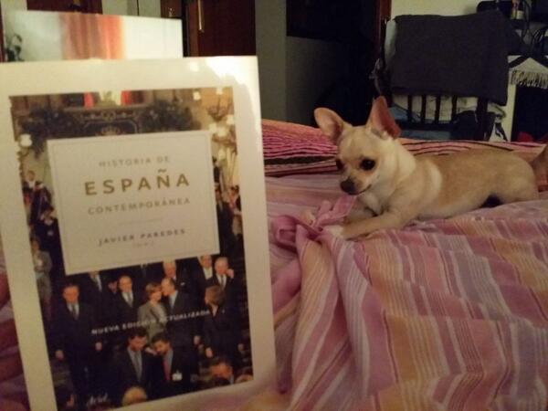 pacobermejo88's tweet photo. Despues de otro dia de trabajo, relajarme e intentar leer algo si mi fiera me lo permite, trabajo queda por delante! http://t.co/K3jA4sblEc
