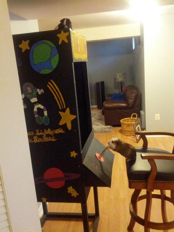 WhereIsMyGuinea's tweet photo. #whereismyguinea Playing arcade games http://t.co/VIEdXht4k9