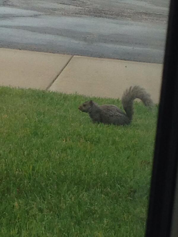 Meg Masters tweet media