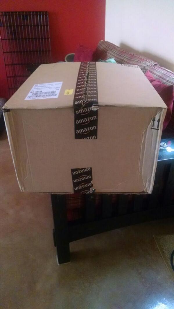 So Amazon sent me a giant box for 2 items...Box in question.