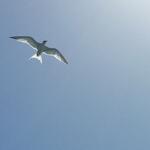 Photo by ChiroActive Therapy (@ChiroActive)