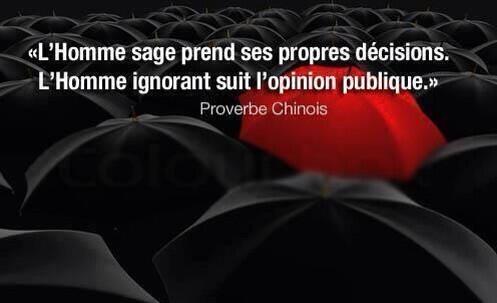 DanielleDuches's tweet image. Hé bien,celle-là est 100% vraie ! 👏👏