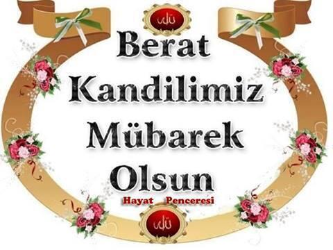 LARA SOLAR (@larasolar_) on Twitter photo 