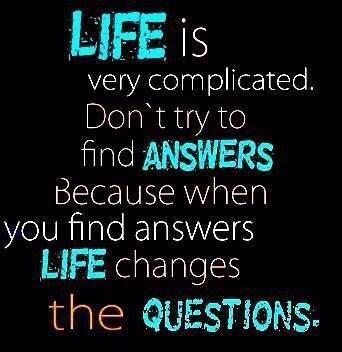 PerspectivePics's tweet image. 