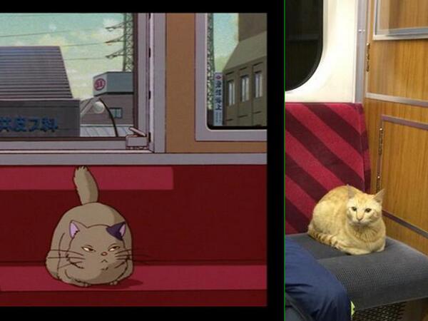 Masato02 Twitter ನಲ ಲ Takumiharimaya 完全に一致してた 実写版 耳をすませば 電車移動するねこが目撃される Http T Co 4spndxj95l Http T Co 46fck8ynfa Masato02 Twitter ನಲ ಲ Takumiharimaya 完全に一致してた 実写版 耳をすませば 電車移動するねこが目撃される Http T Co 4spndxj95l Http T Co 46fck8ynfa