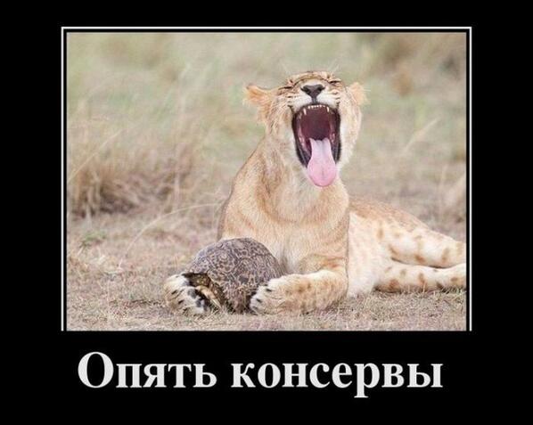 NikayI7l's tweet photo. http://t.co/mFI7EBAT8d
