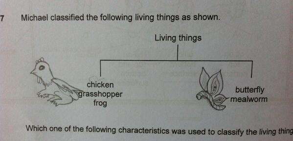 gohsherlyn's tweet image. How does one classify such species? @fakeMOE @SGTeacherSays #sciencehomework #justforlaughs