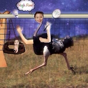 MIRANDARATCHET's tweet image. Hey